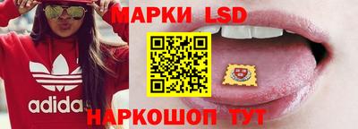 стаф Баксан