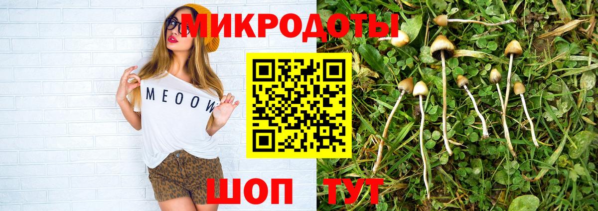 Галлюциногенные грибы Psilocybine cubensis Владикавказ