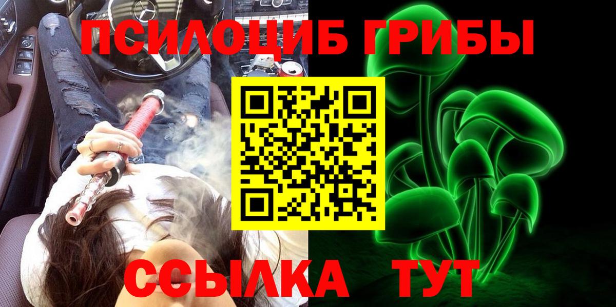 Владикавказ  Псилоцибиновые грибы GOLDEN TEACHER  Вход с VPN 